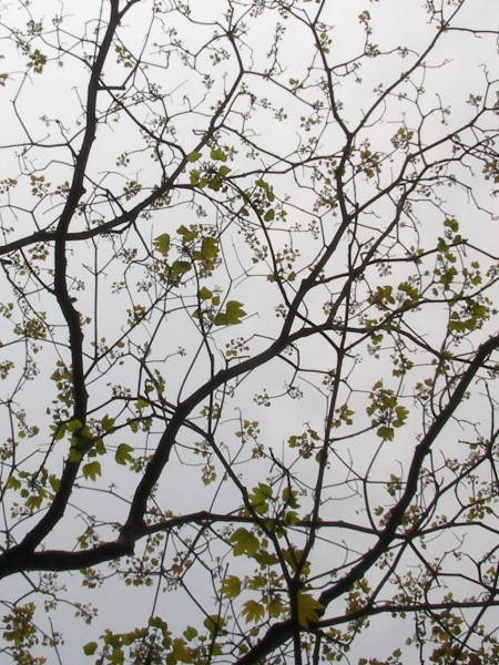 11041403.jpg 11041403.jpg