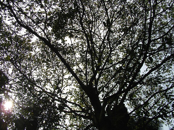 11041406.jpg 11041406.jpg