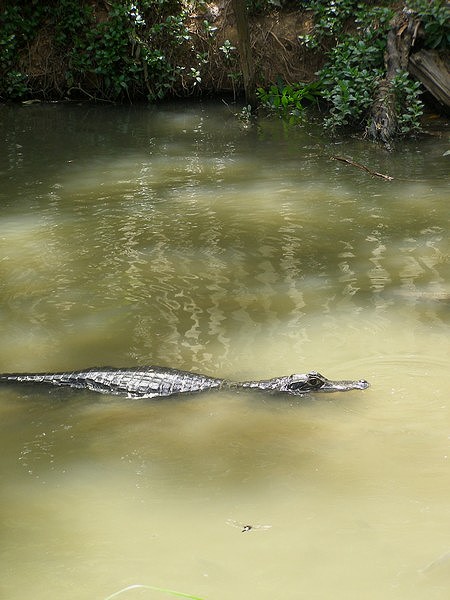 10070311.jpg 10070311.jpg