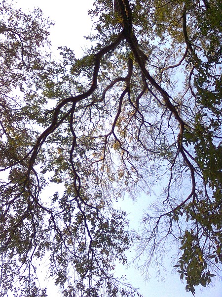10122707.jpg 10122707.jpg