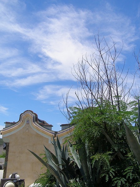 10062314.jpg 10062314.jpg
