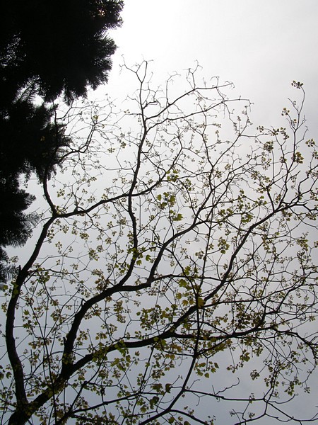 11041404.jpg 11041404.jpg