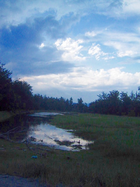05051901.jpg 05051901.jpg