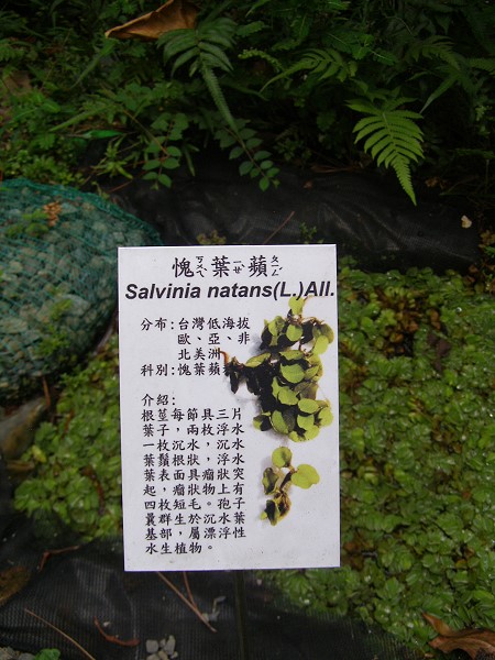 10092210.jpg 10092210.jpg