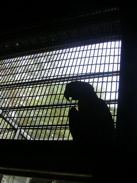 10070323.jpg 10070323.jpg