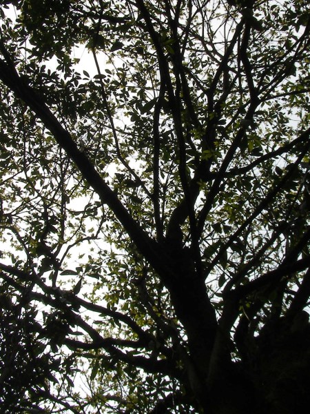 11041405.jpg 11041405.jpg