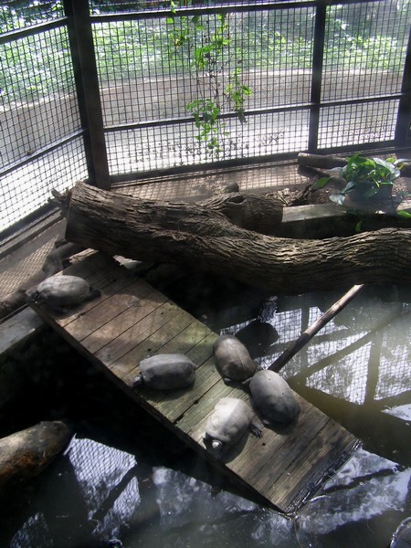 10070316.jpg 10070316.jpg