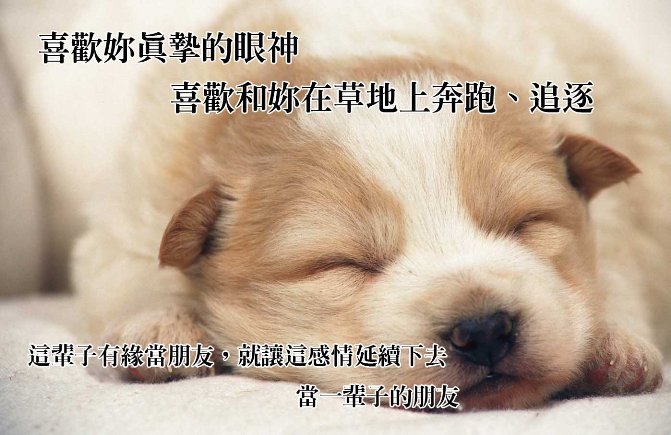 021拷貝.jpg 021拷貝.jpg
