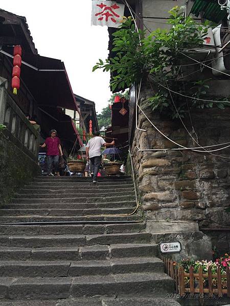 IMG_3676.jpg IMG_3676.jpg