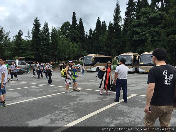 IMG_3780.JPG IMG_3780.JPG