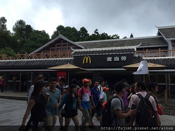 IMG_3784.JPG IMG_3784.JPG