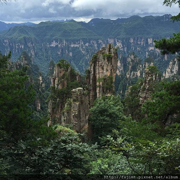 IMG_3791.JPG IMG_3791.JPG