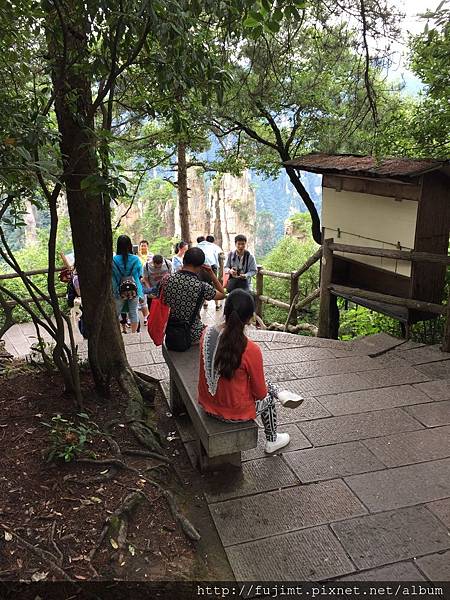 IMG_3800.JPG IMG_3800.JPG