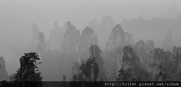 IMG_3842.JPG IMG_3842.JPG