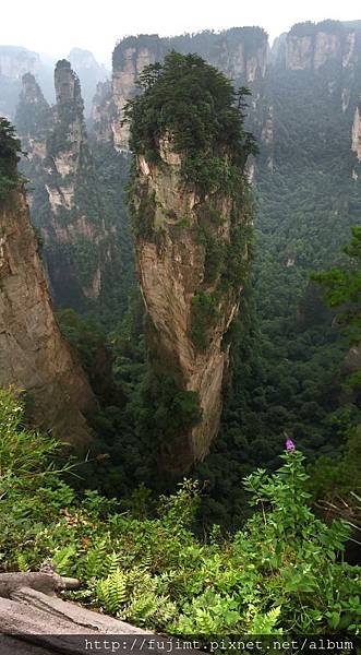 IMG_3908.JPG IMG_3908.JPG