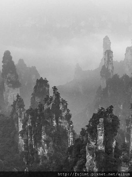 IMG_3931.JPG IMG_3931.JPG