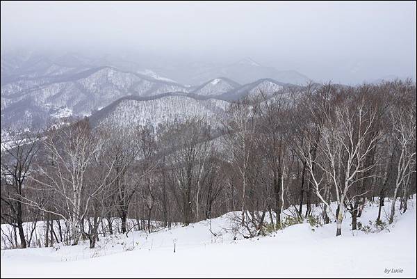 Image00003.jpg Image00003.jpg