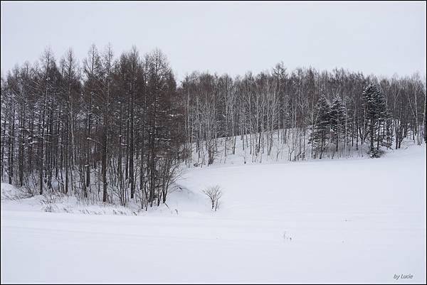 Image00011.jpg Image00011.jpg