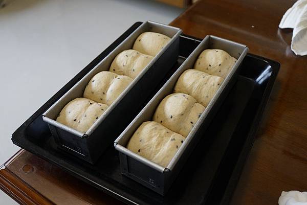 Image00001.jpg Image00001.jpg