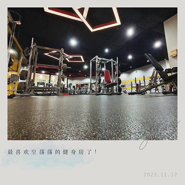 ⊹₊｡WEEK 46˚₊⊹