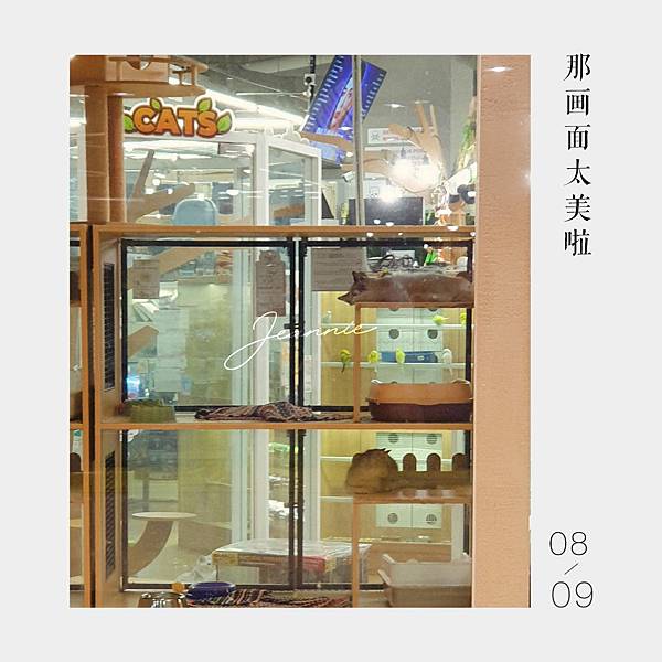 ⊹｡ʚ WEEK 37 ɞ˚₊⊹