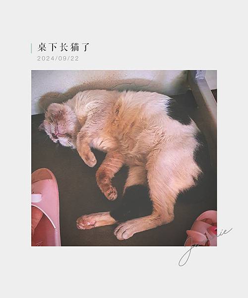 ⊹｡ʚ WEEK 39 ɞ˚₊⊹