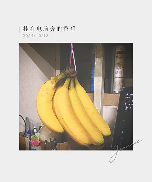 ⊹｡ʚ WEEK 42 ɞ˚₊⊹