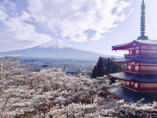 富士山櫻花_新倉山淺間神社賞櫻5.jpg