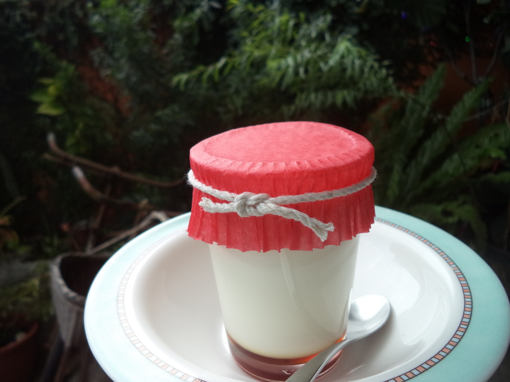 DSC08217.JPG DSC08217.JPG