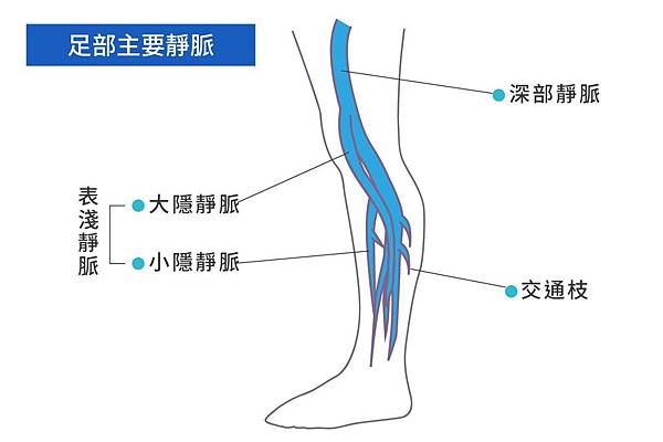 血管擴張血管超音波術曲張診所福康診所甘宗本甘宗高血壓預防血管疾病高血壓怎麼辦高血壓如何預防高血壓症狀.jpg