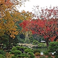 20121130清澄庭園 (8).JPG