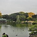 20121130清澄庭園 (38).JPG