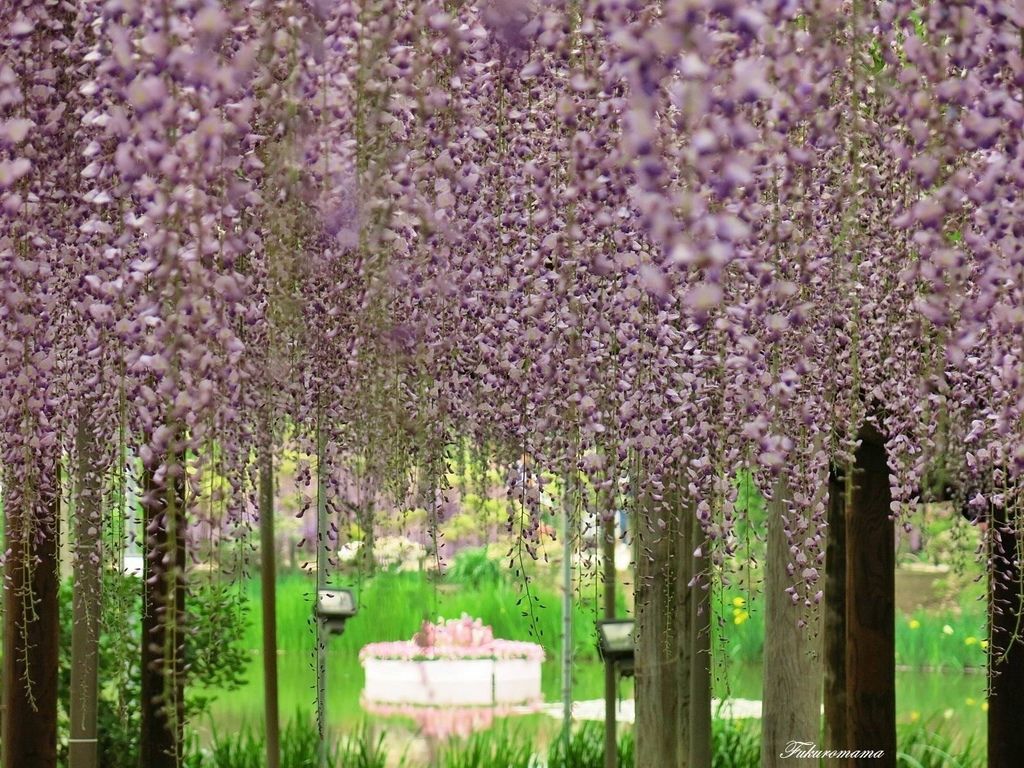 IMG_5182...1 (2).JPG