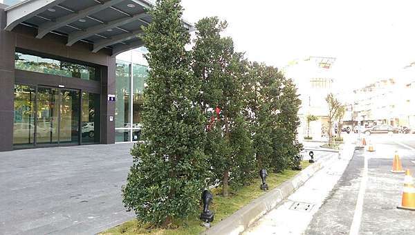 規劃住宅植栽前需先有樹木及植栽的的相關知識富臨園藝專業園藝造景設計樹木植栽買賣盆景租賃買賣園藝花草資材台中彰化南投 規劃住宅植栽前需先有樹木及植栽的的相關知識富臨園藝專業園藝造景設計樹木植栽買賣盆景租賃買賣園藝花草資材台中彰化南投
