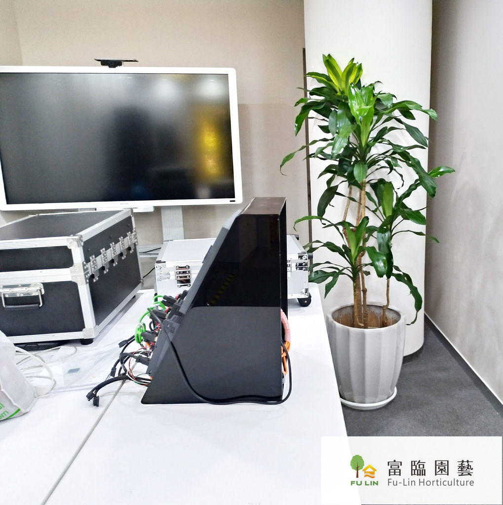 P_20190808_133235_vHDR_Auto_HP.jpg P_20190808_133235_vHDR_Auto_HP.jpg