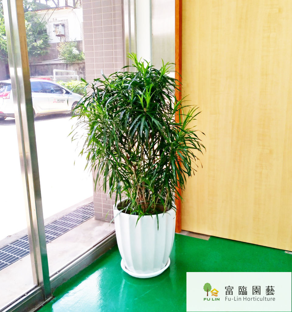 P_20190808_133135_vHDR_Auto_HP.jpg P_20190808_133135_vHDR_Auto_HP.jpg