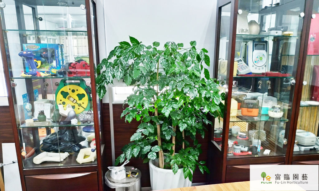 P_20190808_142504_vHDR_Auto_HP.jpg P_20190808_142504_vHDR_Auto_HP.jpg