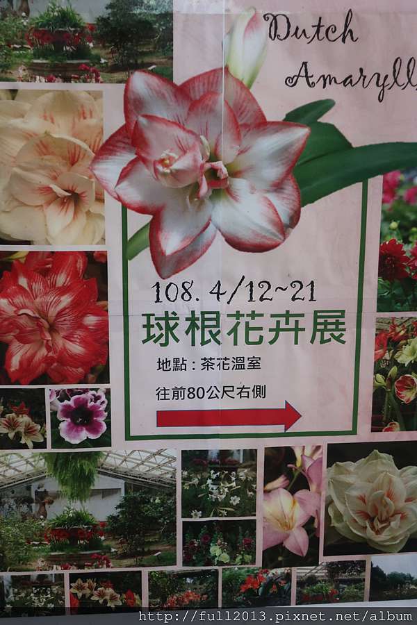 陽明山花卉試驗中心室內篇 球根花卉展 許願的天空 痞客邦 陽明山花卉試驗中心室內篇 球根花卉展 許願的天空 痞客邦