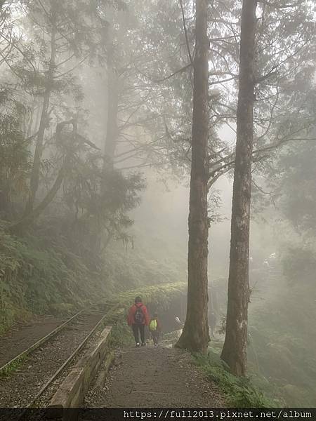 冬山河綠舟生態 見晴古道