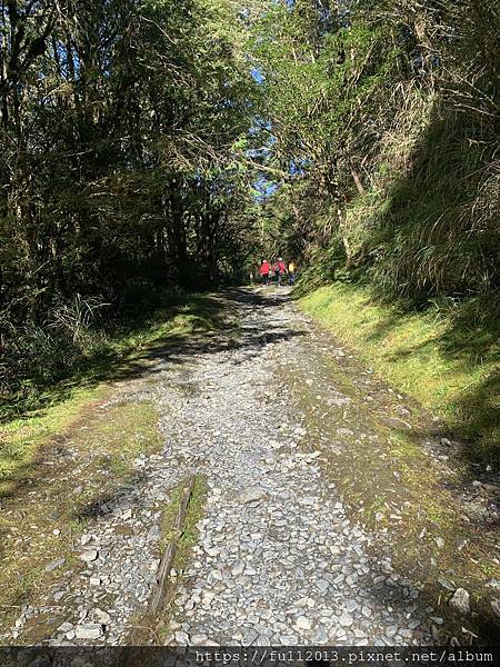 翠峰湖青山部老