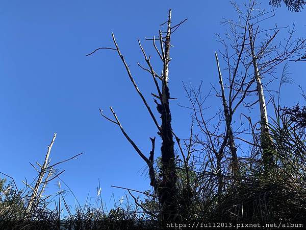 翠峰湖青山部老