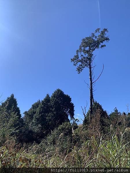 翠峰湖青山部老