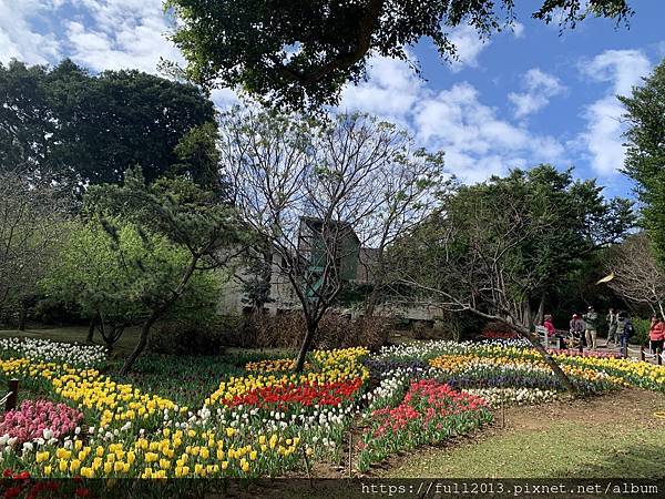 陽明山花卉試驗中心 百花f齊開