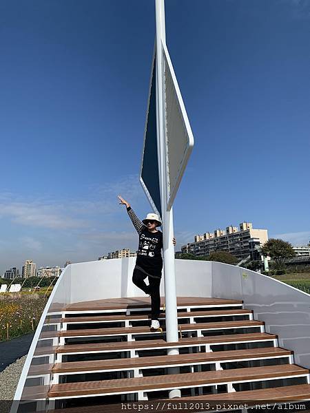 古亭河濱公園花海