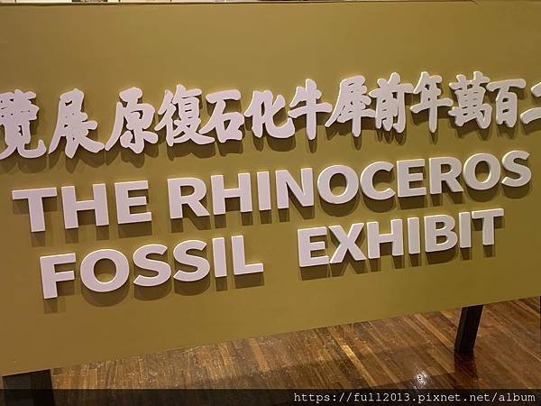 臺博館特展「臺灣有犀」還原51年史前犀牛化石展覽現場