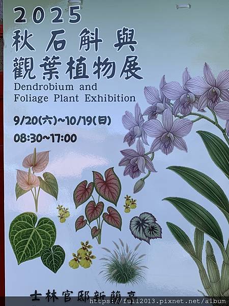 2025秋石斛蘭觀葉植物展