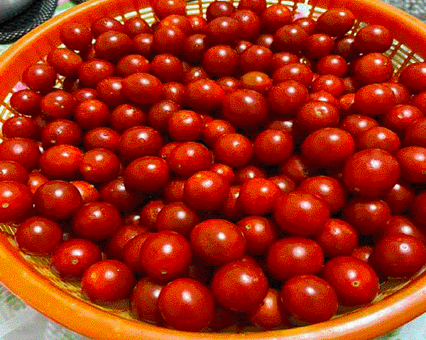 新鮮番茄，糖葫蘆材料,糖葫蘆製作