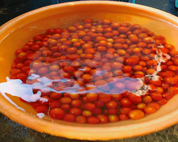 洗番茄,糖葫蘆製作前置,番茄糖葫蘆