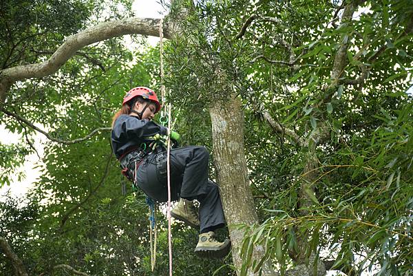 攀樹,台灣樹屋協會,攀爬訓練