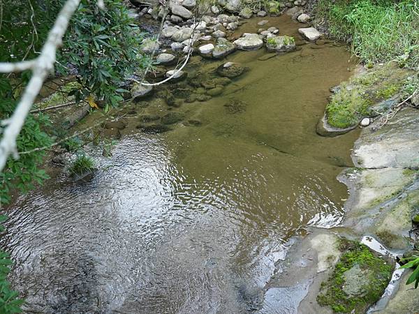 大窩護魚步道,清澈水源,大窩生態園區